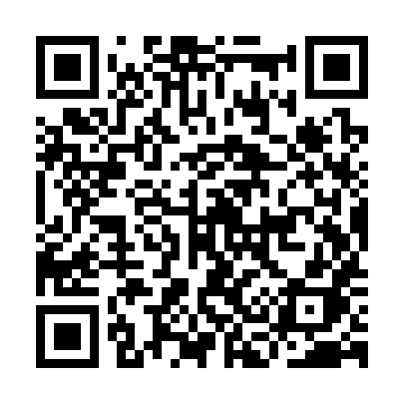 QR code for IC9S8H