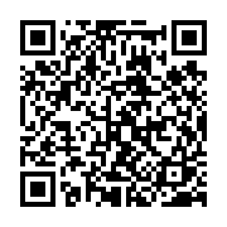 QR code for IC9V1S