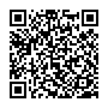 QR code for II2D2Q