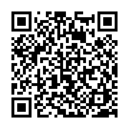 QR code for II3P3C