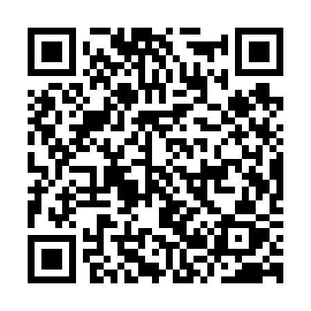QR code for IR1V3Z