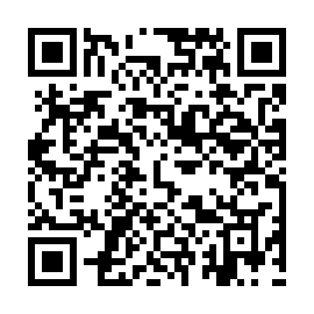 QR code for IR2G3O