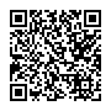 QR code for IV1N1N