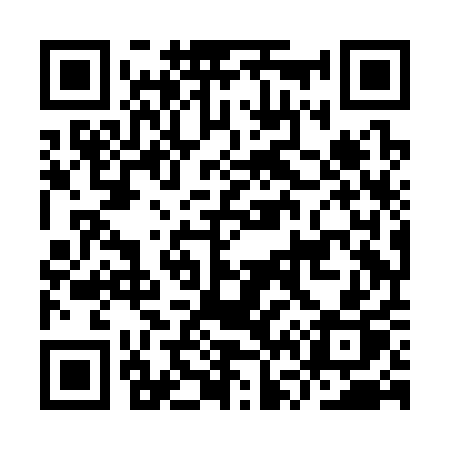 QR code for IV8C1P