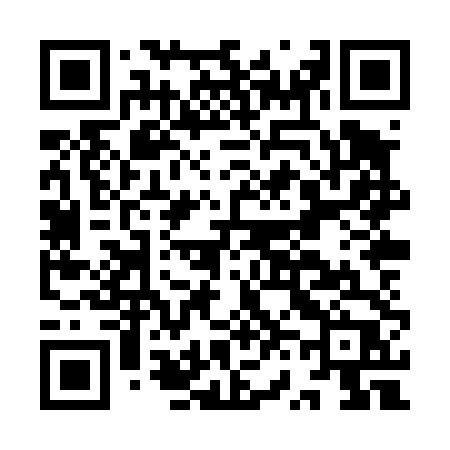 QR code for IV8T4P