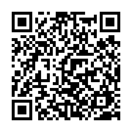 QR code for IZ8V3G