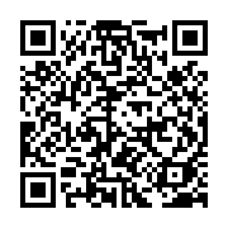 QR code for LE1L1I