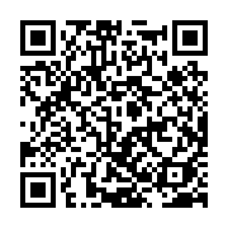 QR code for LR0R1I