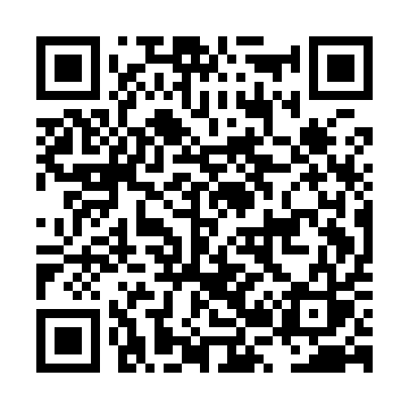 QR code for LR1I1S