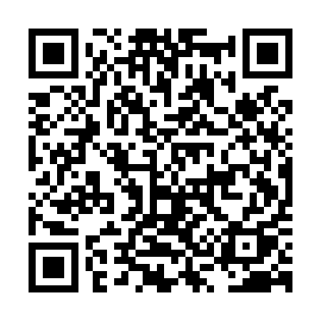 QR code for LS1L1Q