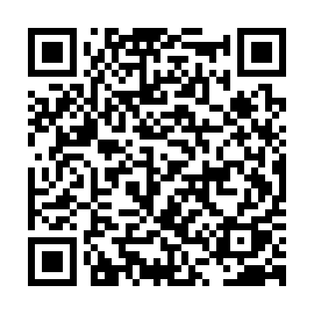 QR code for LT1C1Q