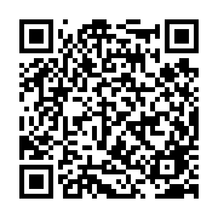 QR code for LT1V0G