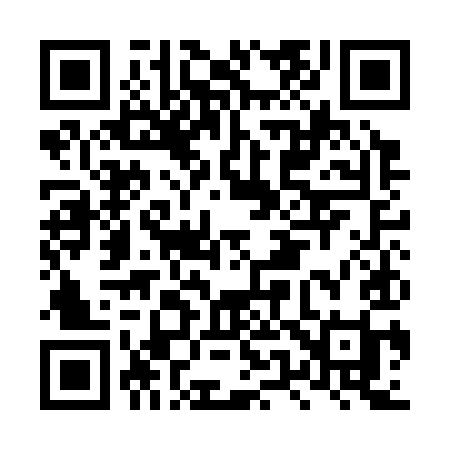 QR code for LU1C9I