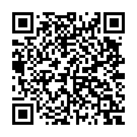QR code for LV0T1L