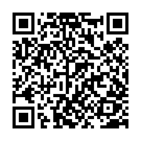 QR code for LV2D8Z