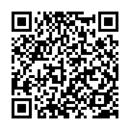 QR code for LV8C1H
