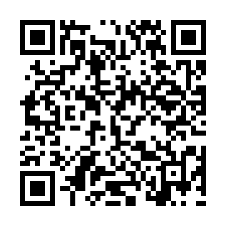 QR code for LV8S1N