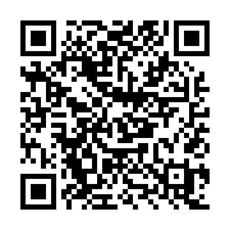 QR code for LZ1P4I