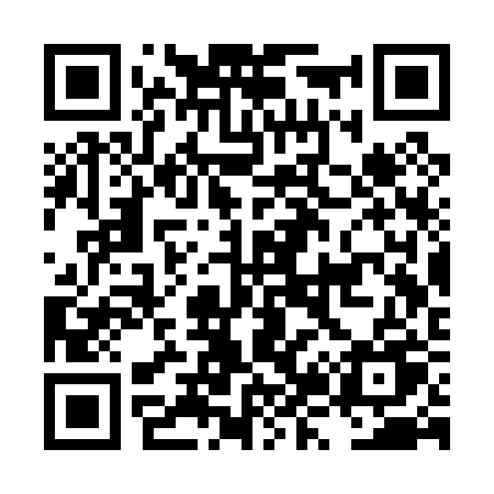 QR code for LZ3P2U