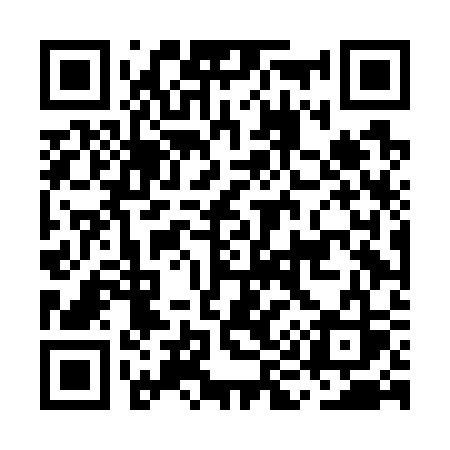 QR code for MI4G3S