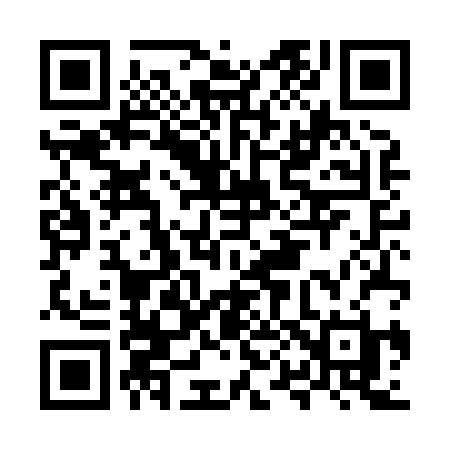 QR code for MP4H2H