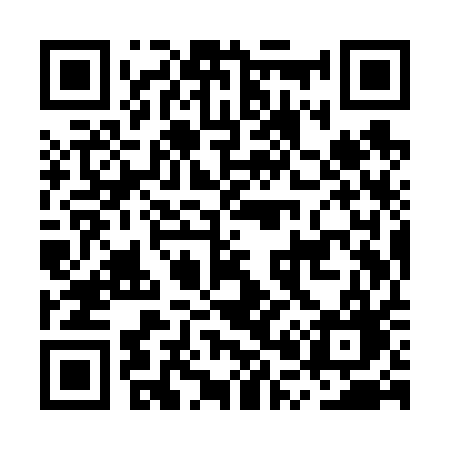 QR code for MP9V1G