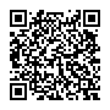 QR code for NI3T1S