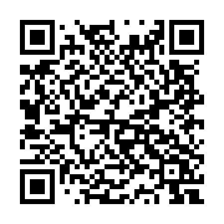 QR code for NS1O4V