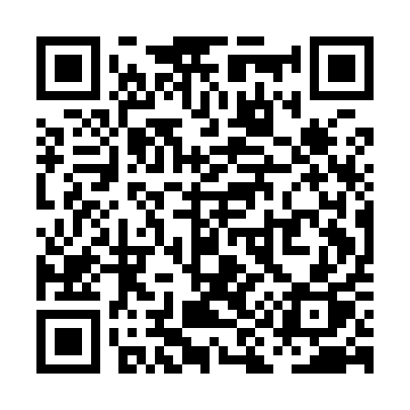 QR code for PI1I1P