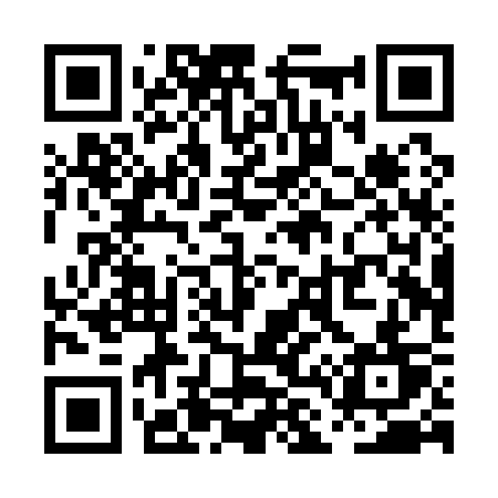 QR code for PL0Q3T