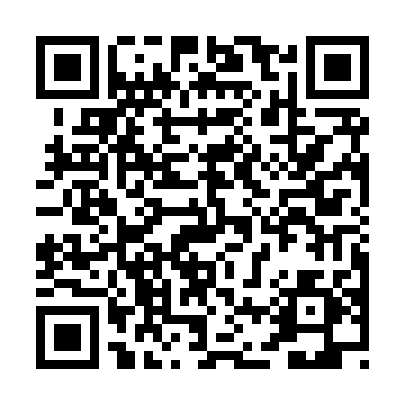 QR code for PL1X0R