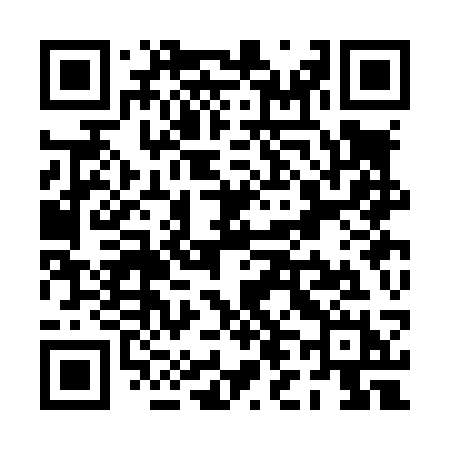 QR code for PL3L3H