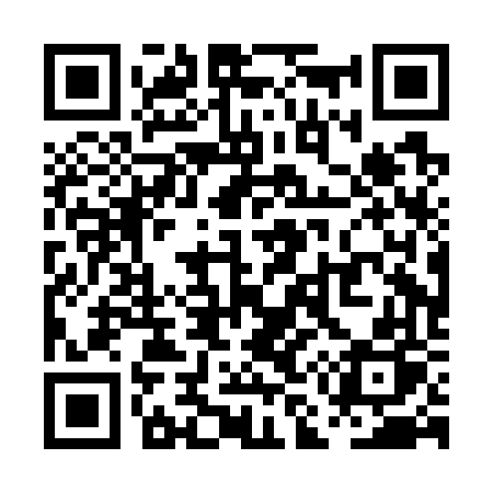 QR code for PM0G6P