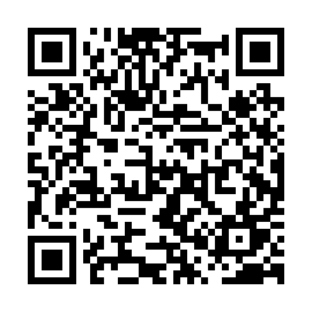 QR code for PP0B1T