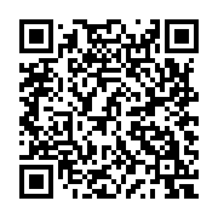 QR code for PP4I1O