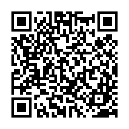 QR code for PT3T4L