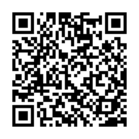 QR code for PT4S9I