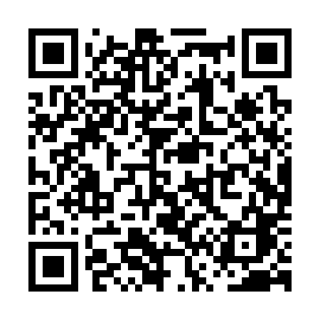 QR code for PV0S0C