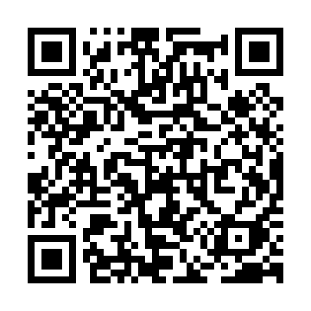 QR code for RE1P1I