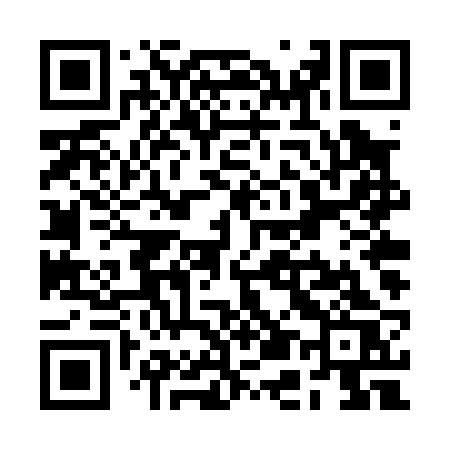 QR code for RE4P2S