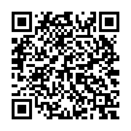 QR code for RO4Z3R
