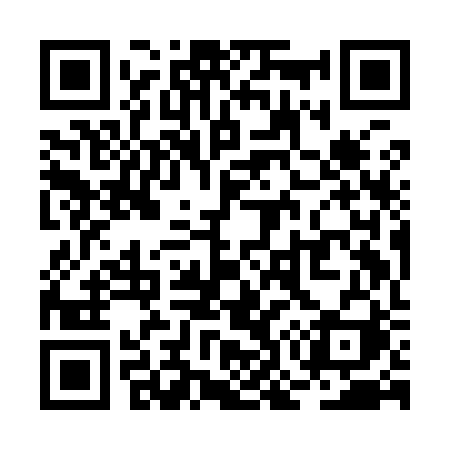 QR code for RO9I2I