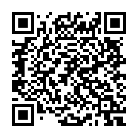 QR code for RV0N1L