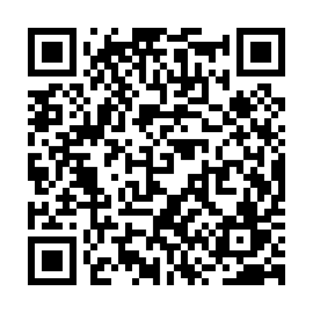 QR code for RV1P1V