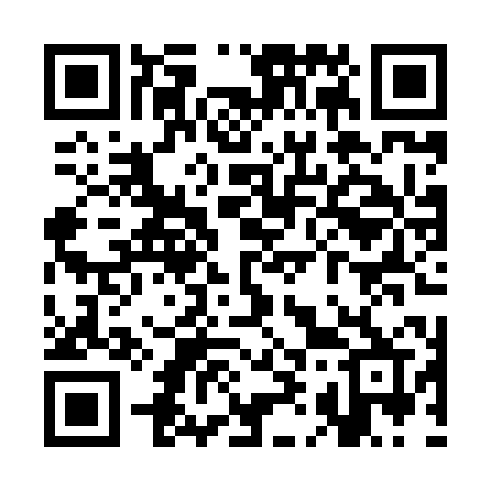 QR code for SI8X0R