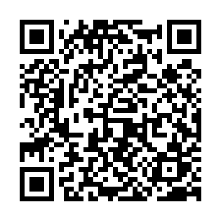 QR code for SM4E1R