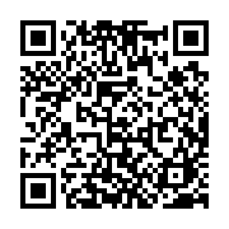 QR code for SN0W1C