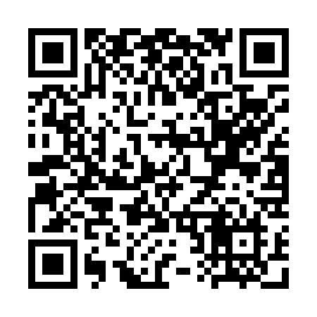 QR code for SR4L3N