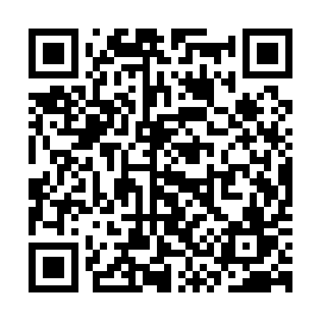 QR code for SS1Q1V