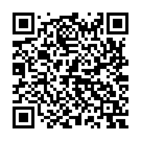 QR code for SV2Y1S
